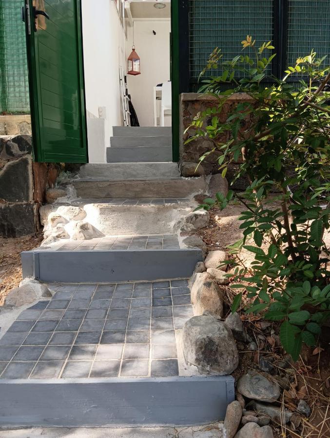 Bungalow Con Piscina Maspalomas ماسبالوماس المظهر الخارجي الصورة